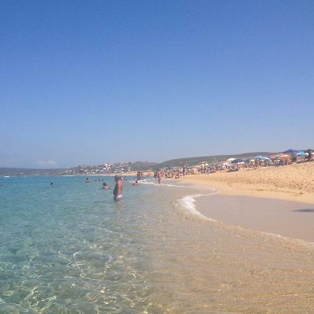 Sardegna-Ferienwohnung Mit Emotionale Meeres Blick Torre dei Corsari Eksteriør bilde